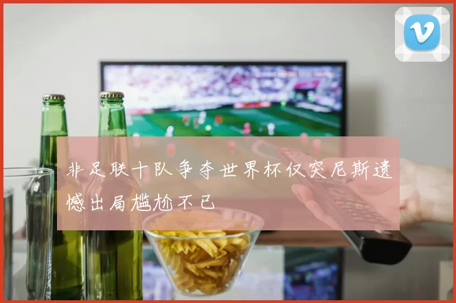 非足联十队争夺世界杯仅突尼斯遗憾出局尴尬不已